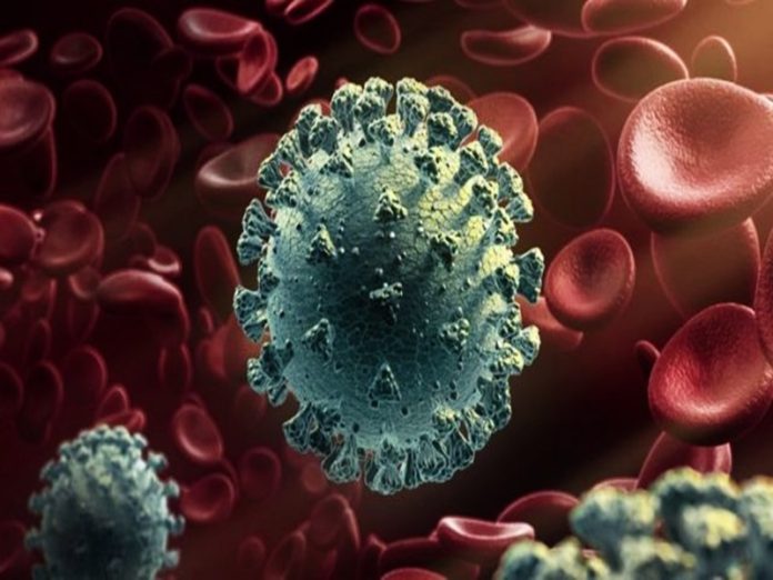 coronavirus coronavirus