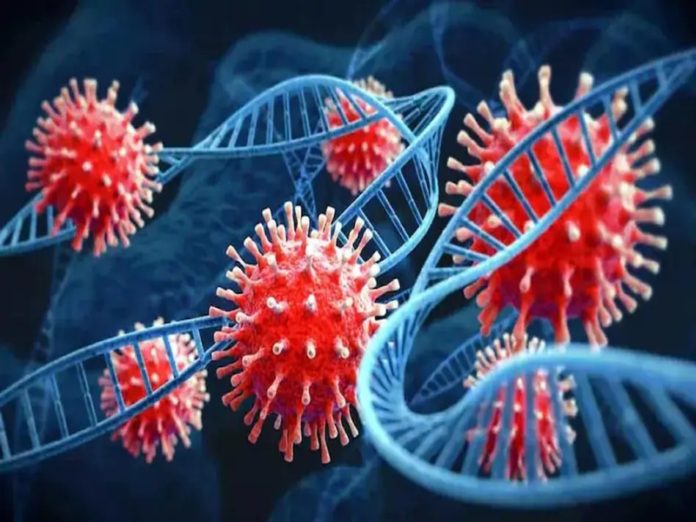 coronavirus_xe_variant