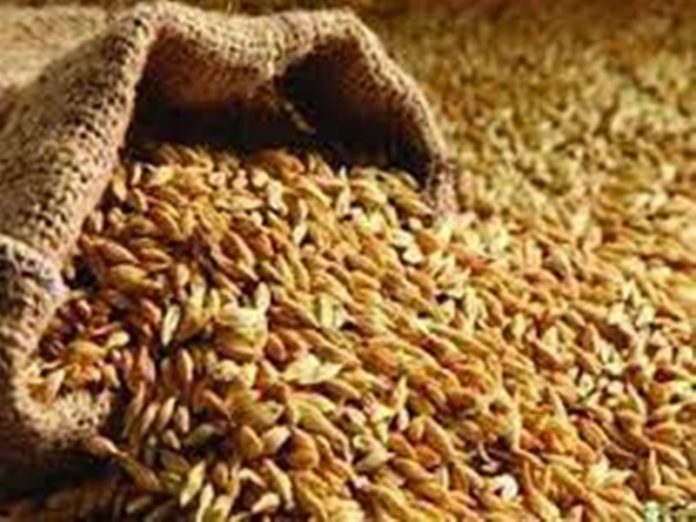 mp_wheat mp_wheat