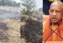 सीएम योगी की सुरक्षा में बड़ी चूक, मुख्यमंत्री हैलीपेड के पास लगी भीषण आग