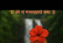 नौकरी की तलाश हो या करियर की रुकावट, बप्पा का यह ‘गणेश स्तोत्र’ हर मुश्किल का अचूक समाधान