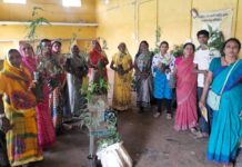मुख्यमंत्री विष्णुदेव साय के नेतृत्व में ग्रामीण महिलाओं की आत्मनिर्भरता को मिल रही नई उड़ान