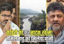 3 तमिलों की मौत पर तमिलनाडु में सियासत तेज, CM विजय ने मांगी निष्पक्ष जांच