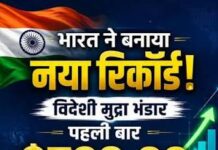 विदेशी मुद्रा भंडार में जोरदार उछाल, 729.33 अरब डॉलर के नए रिकॉर्ड पर भारत