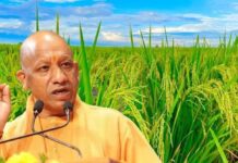 बीज से बाजार तक किसानों को मिल रही हर सुविधा, CM योगी बोले- डबल इंजन सरकार में किसान कर्ज के जाल से हुए मुक्त